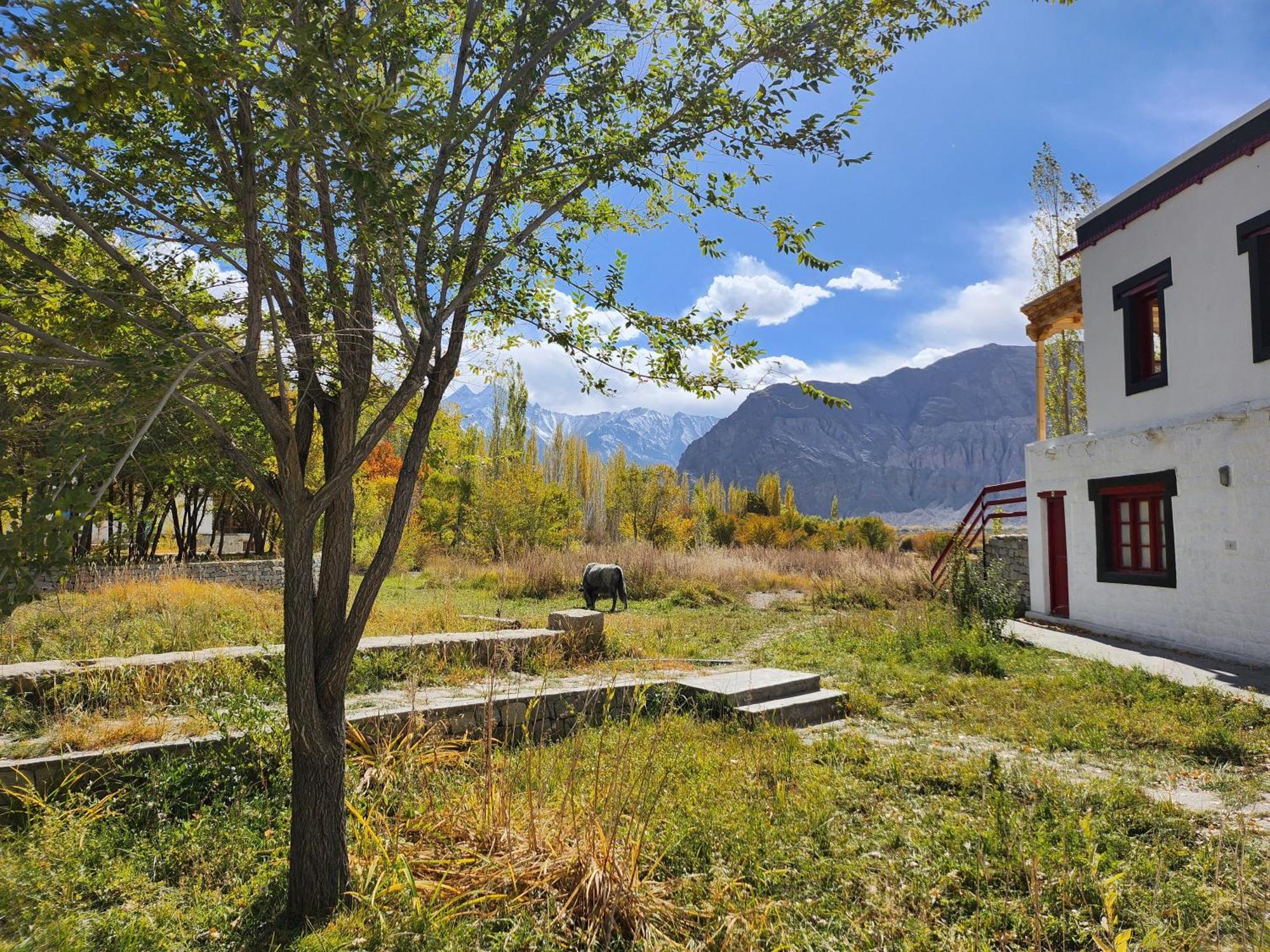 Lharimo Hotel Leh - Ladakh المظهر الخارجي الصورة