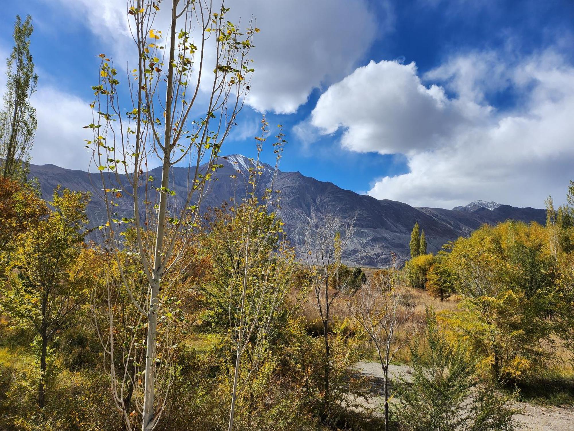 Lharimo Hotel Leh - Ladakh المظهر الخارجي الصورة