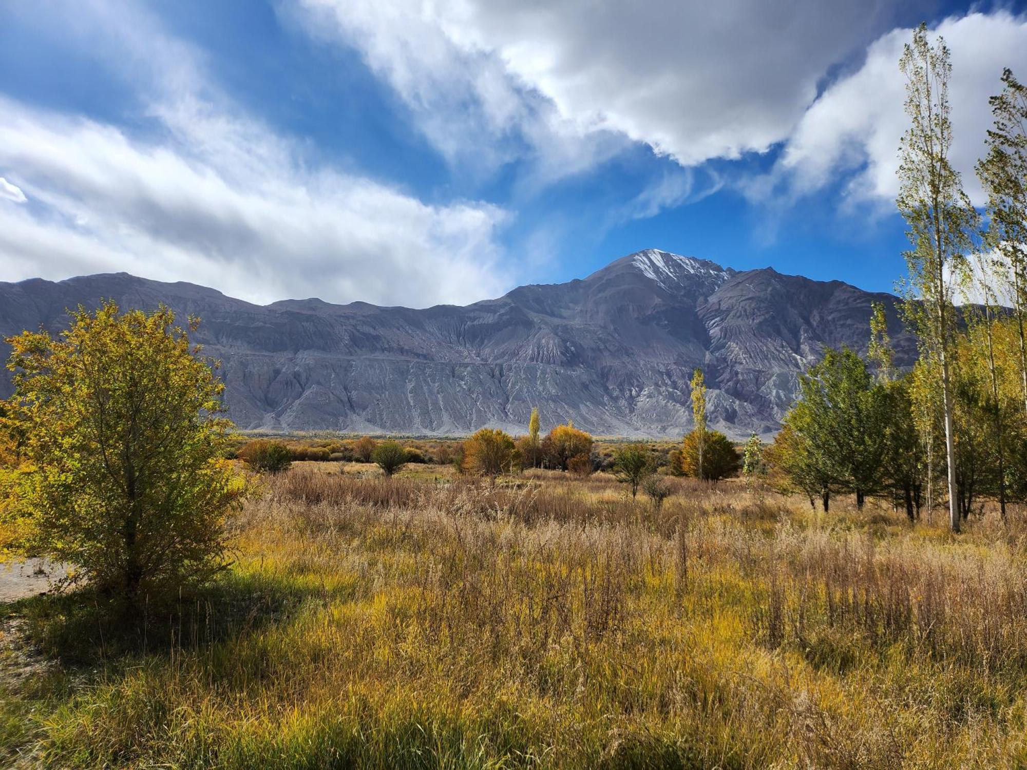 Lharimo Hotel Leh - Ladakh المظهر الخارجي الصورة