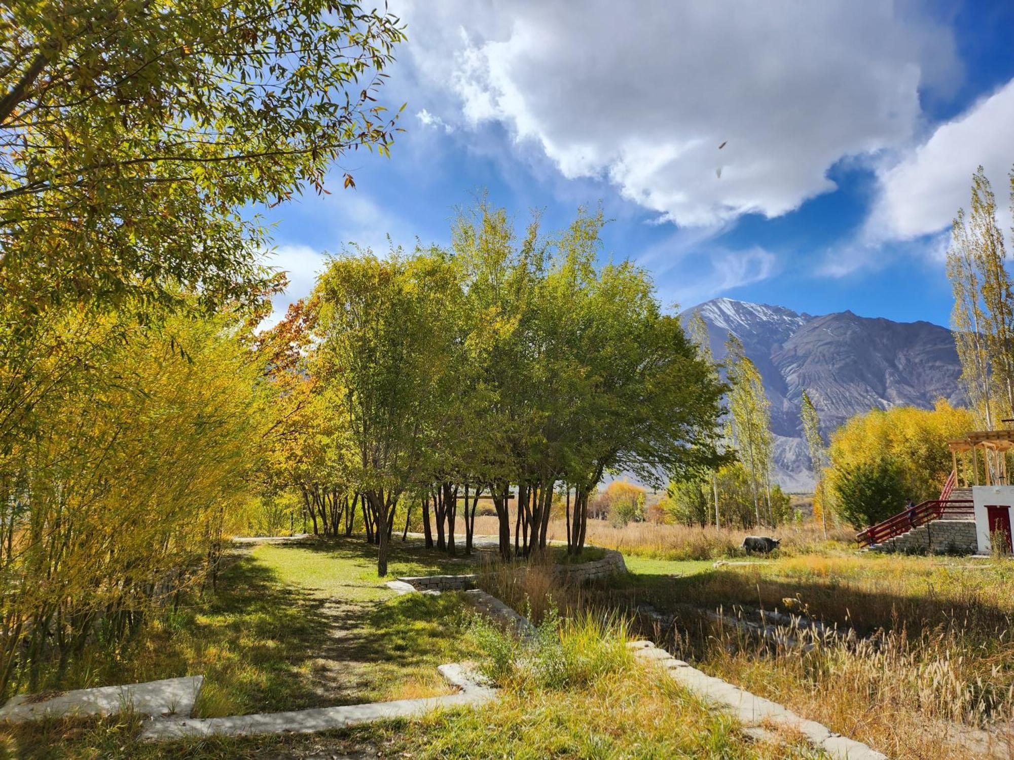 Lharimo Hotel Leh - Ladakh المظهر الخارجي الصورة