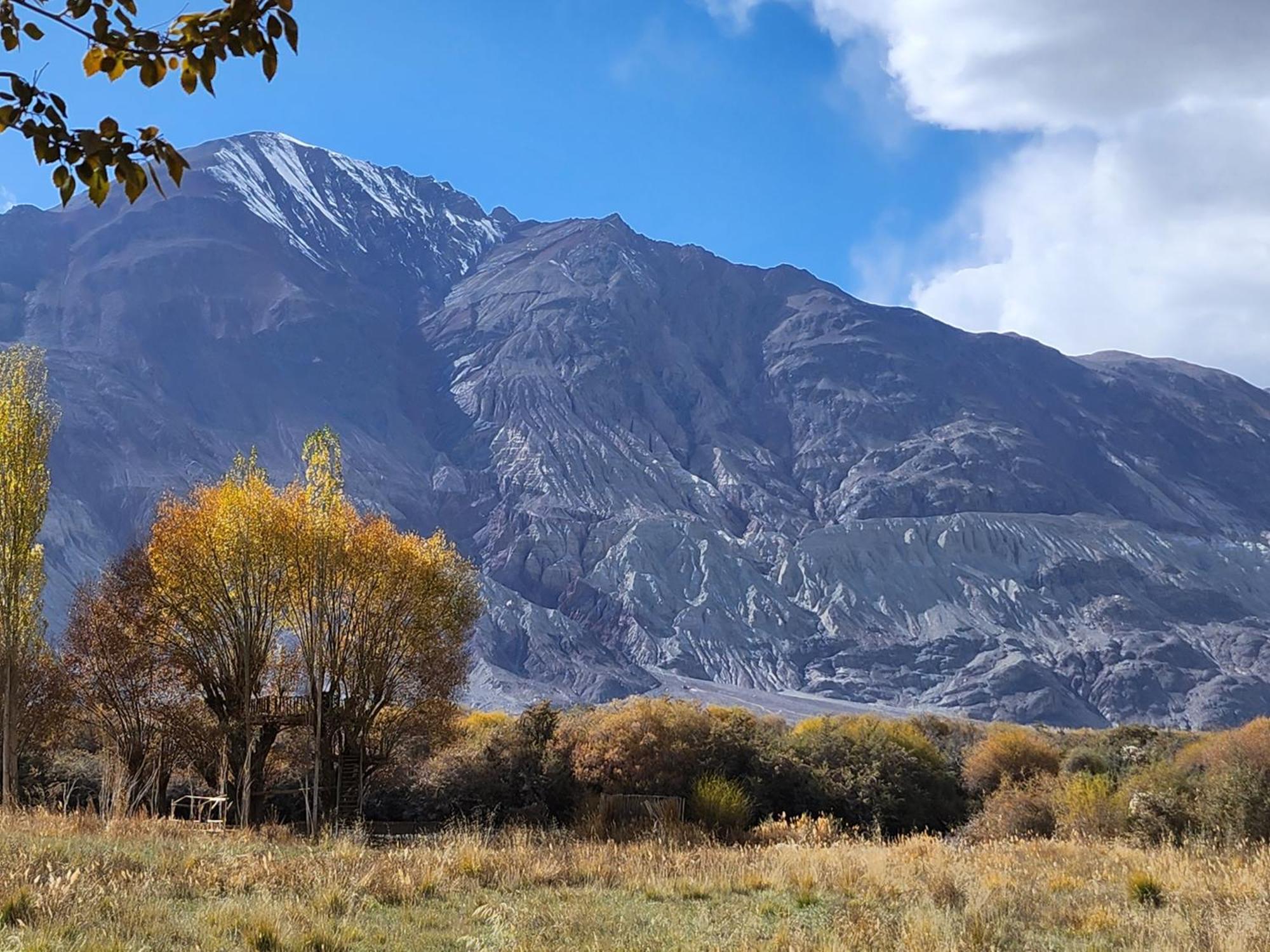 Lharimo Hotel Leh - Ladakh المظهر الخارجي الصورة