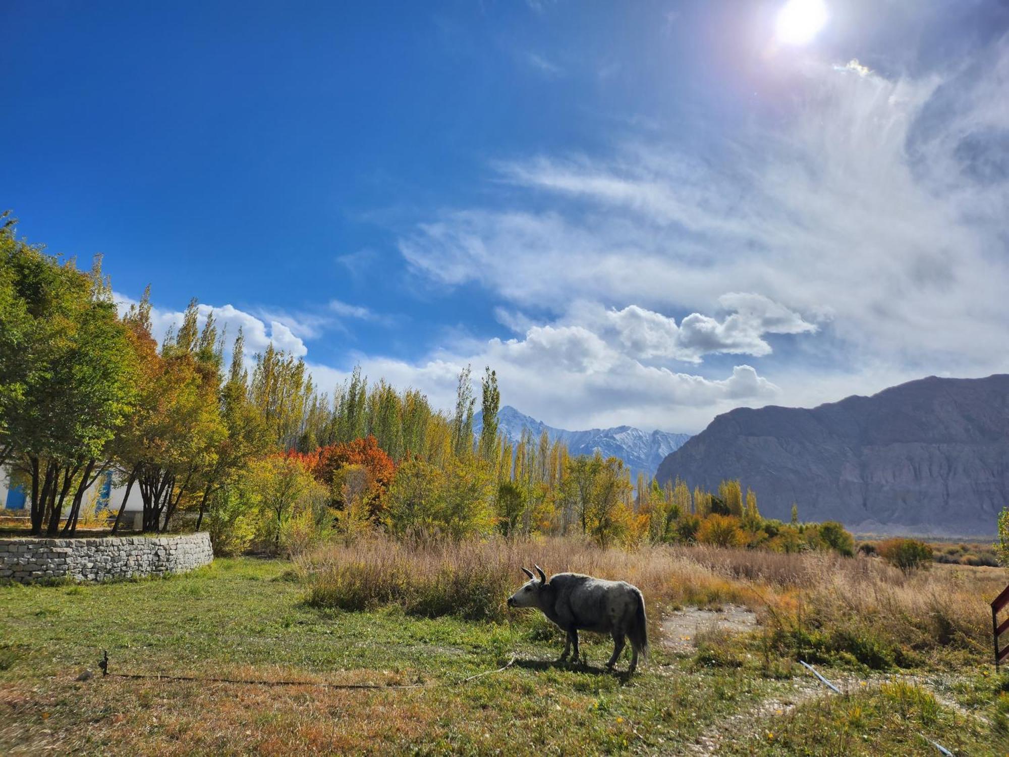 Lharimo Hotel Leh - Ladakh المظهر الخارجي الصورة