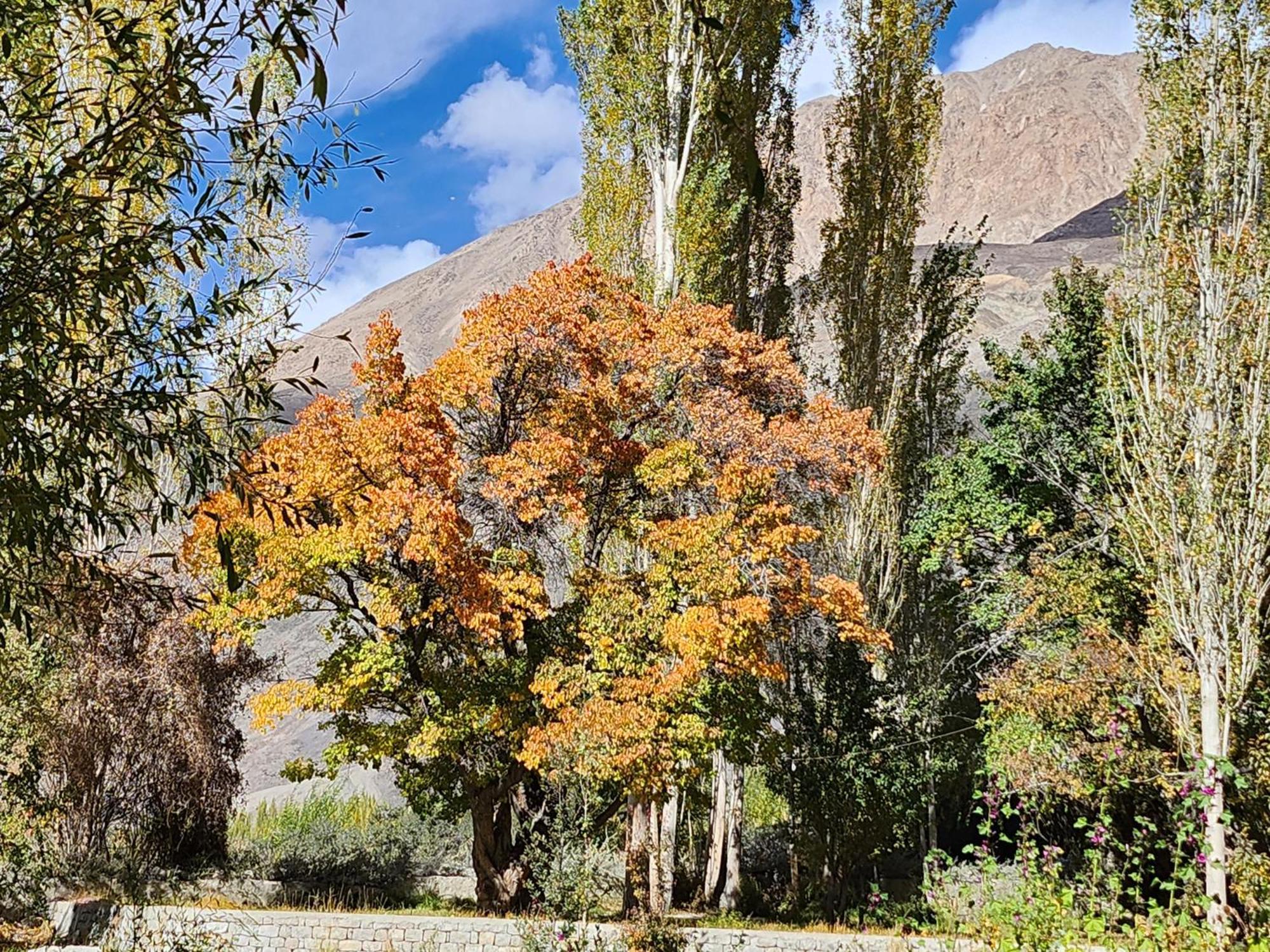 Lharimo Hotel Leh - Ladakh المظهر الخارجي الصورة