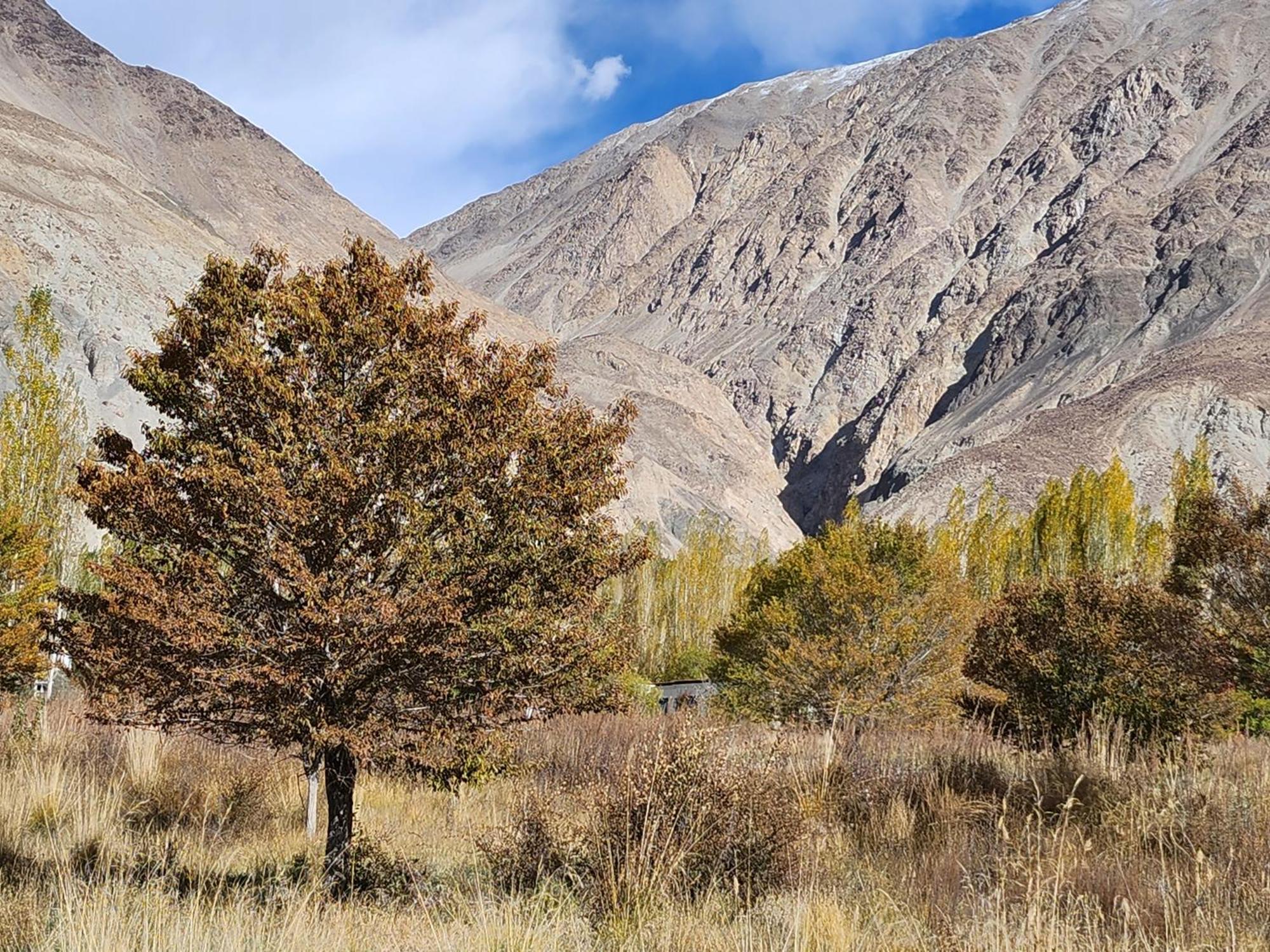 Lharimo Hotel Leh - Ladakh المظهر الخارجي الصورة