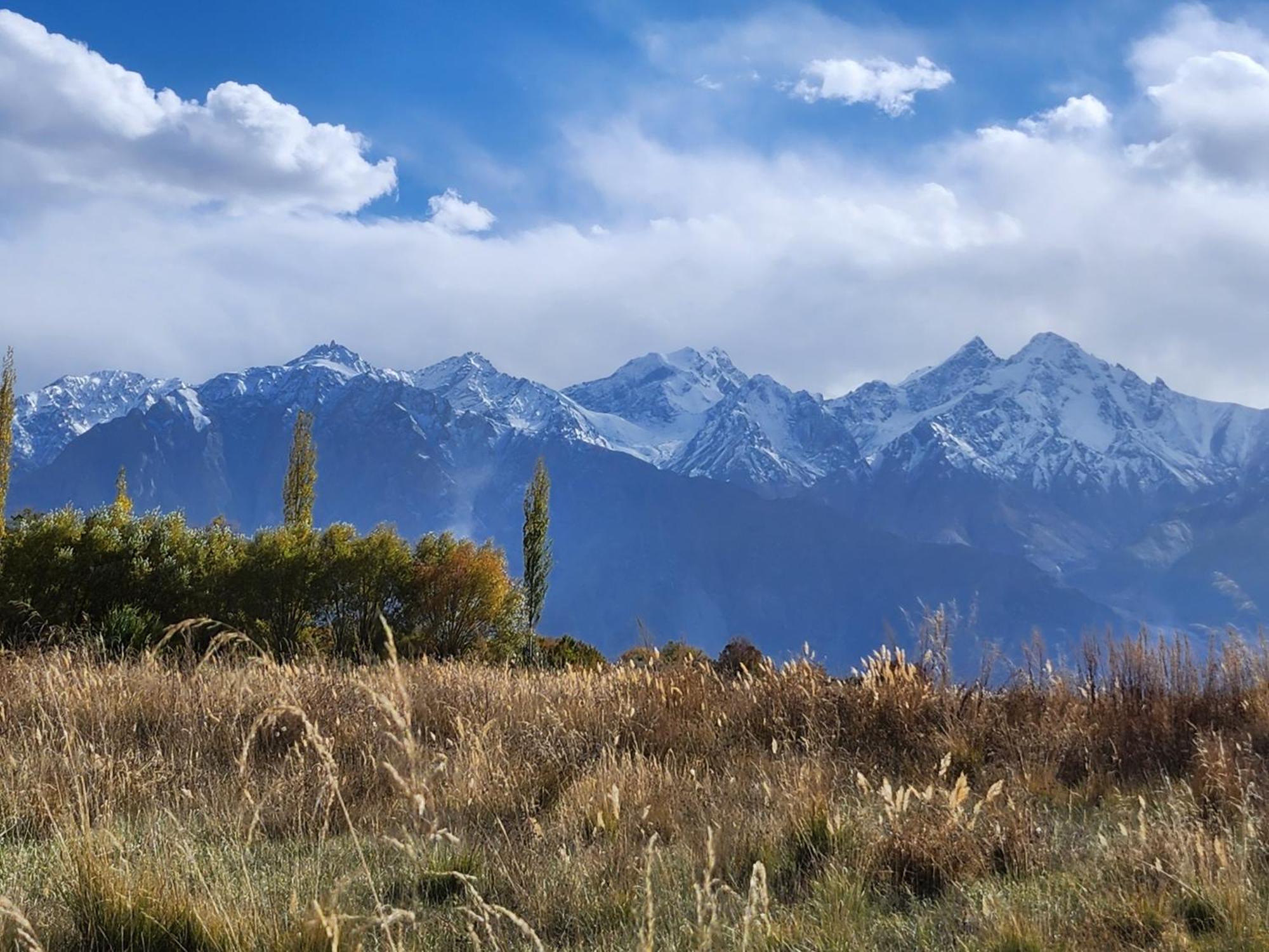 Lharimo Hotel Leh - Ladakh المظهر الخارجي الصورة